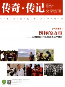 传奇传记文学选刊期刊